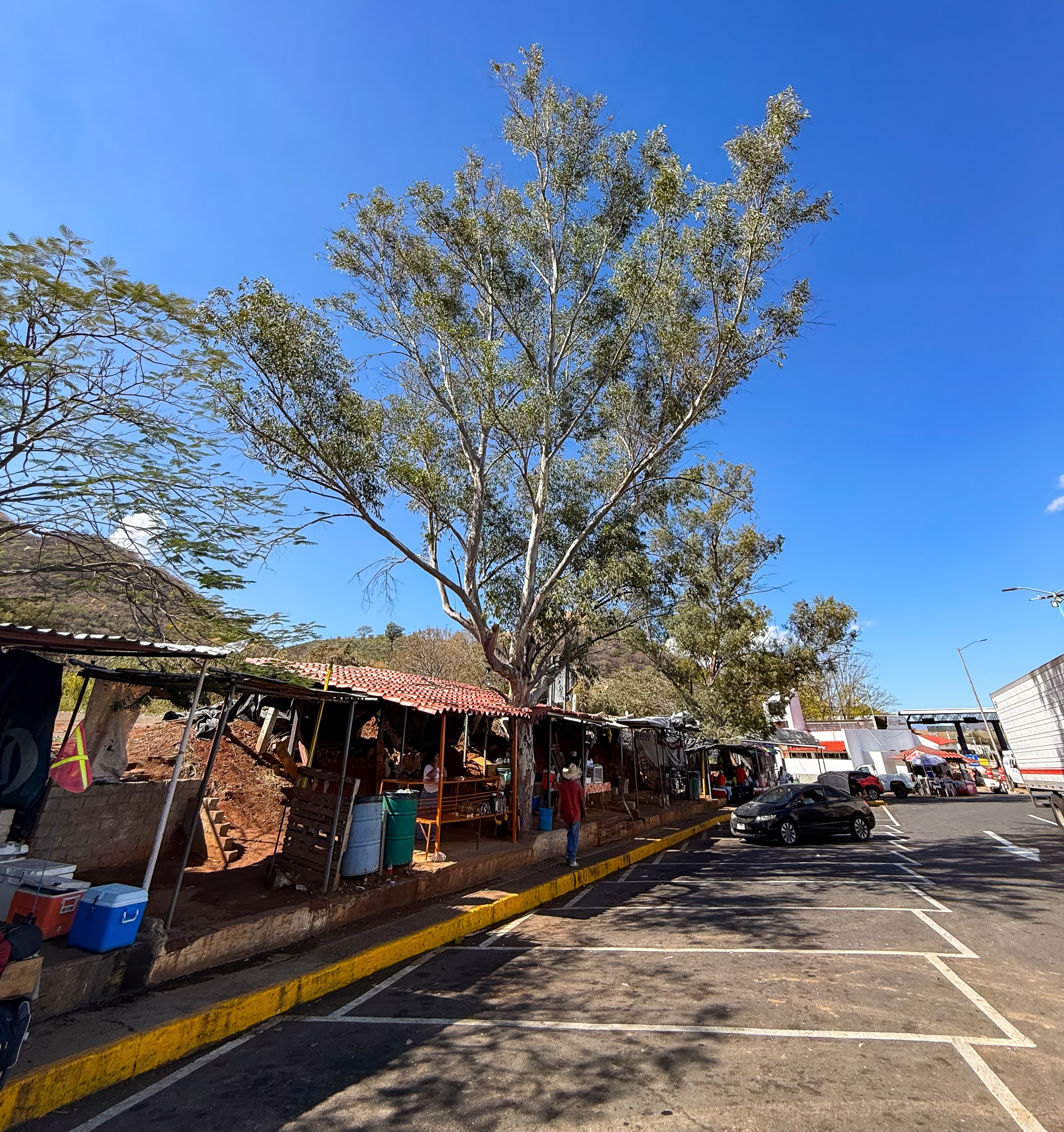 Plaza de Cobro Plan de Barrancas